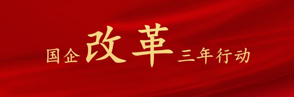 新宝GG—创立事业平台在线登录