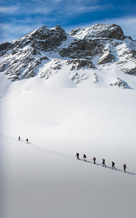 新宝GG—创立事业平台在线登录